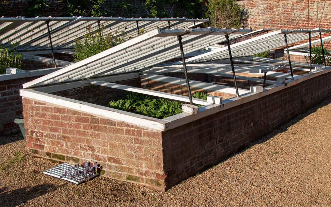 Frühbeet – früher ernten, länger genießen