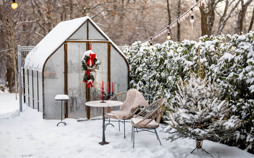 Gewächshaus im Winter – die komplette Anleitung für gesundes Wachstum